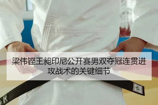 梁伟铿王昶印尼公开赛男双夺冠连贯进攻战术的关键细节
